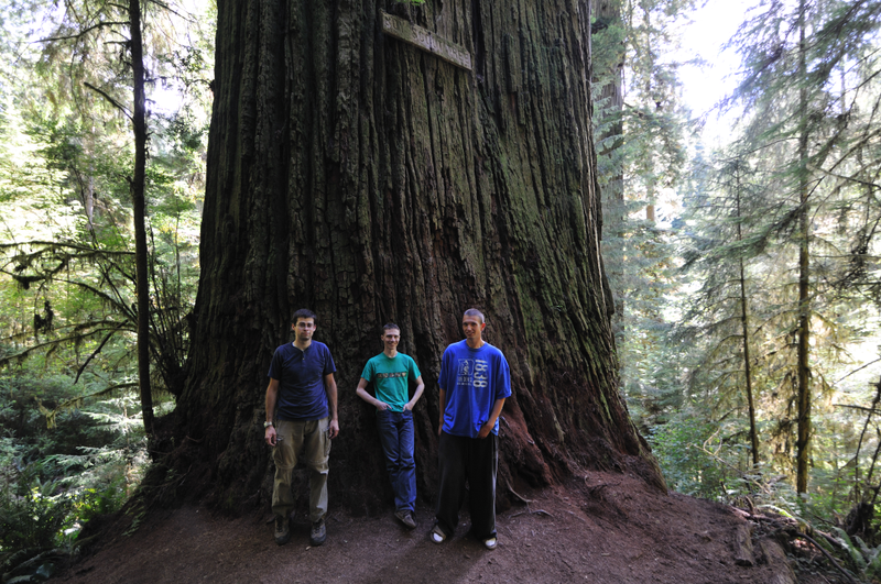 I told you it was a big tree! Also, one of the few times I’m glad I packed a tripod with me.